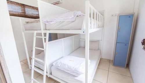 4-Bed Mixed Dormitory Room