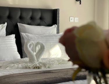 Executive Queen Room