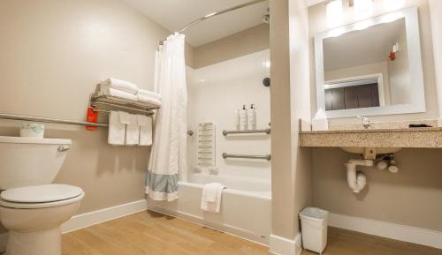Handicap Accessibl, Studio, 1 Queen, Sofa bed