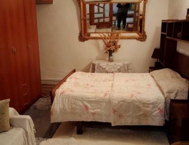One-Bedroom Deluxe Apartment