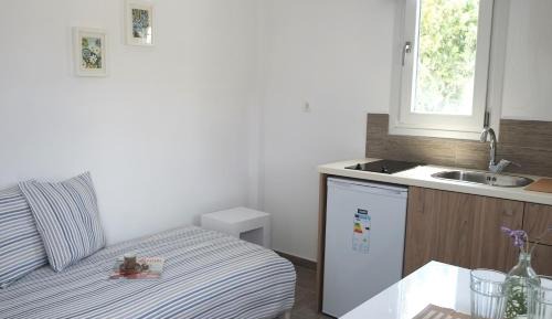  Studio (3 Adults)