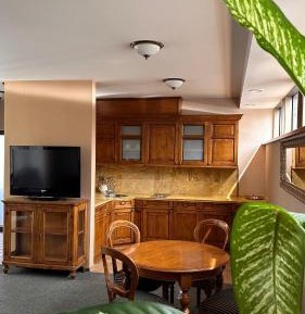 Penthouse Apartment