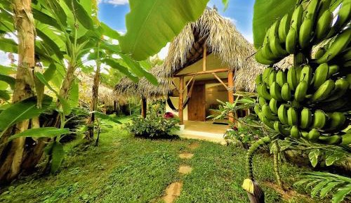 Double Room with Patio