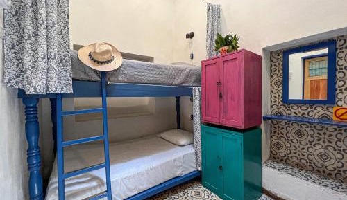 Bed in 4-Bed Mixed Dormitory Room