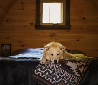One-Bedroom Chalet