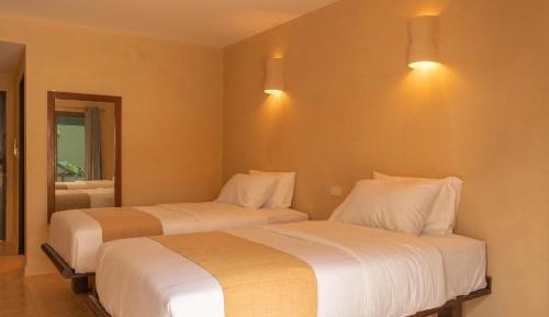 Deluxe Twin Garden View Room
