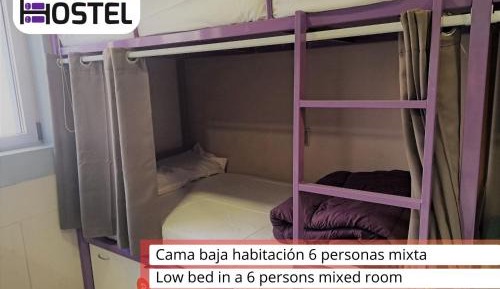 Bed in 6-Bed Mixed Dormitory Room