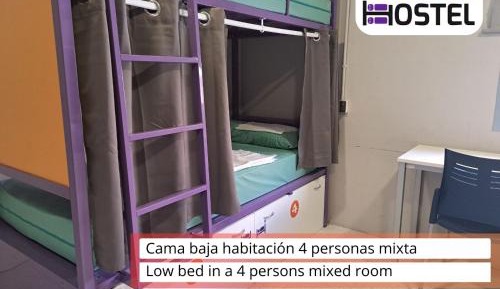 Bed in 4-Bed Mixed Dormitory Room