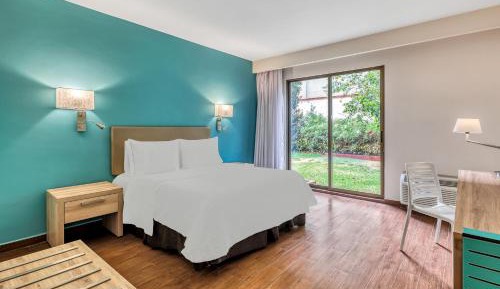Executive Room 1 King