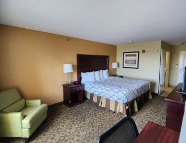 Standard King Room