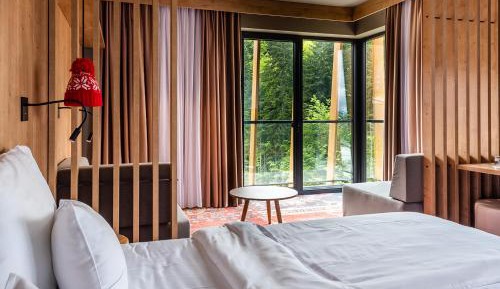 Premium Room Mountain View