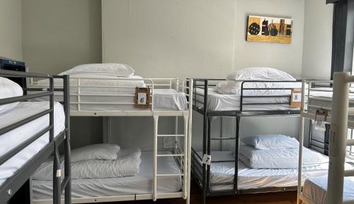Bed in 12-Bed Mixed Dormitory