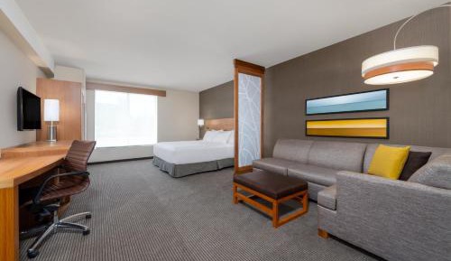King Room with Sofa Bed and Accessible Tub