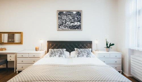 Luxury Apartment