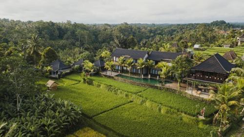 Luxury Villa