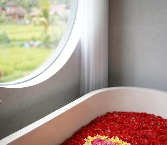 Suite with Pool View