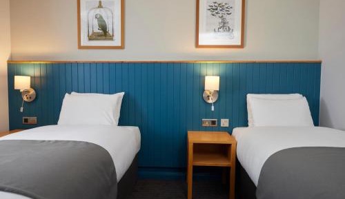 Standard Twin Room
