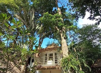 Deluxe Bungalow with Sea View