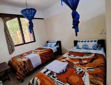 Budget Twin Room