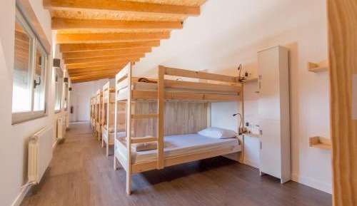 Bunk Bed in Mixed Dormitory Room