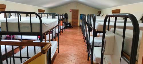 Bunk Bed in Mixed Dormitory Room