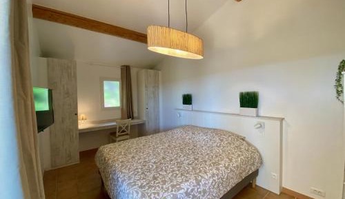 Double Room with Patio