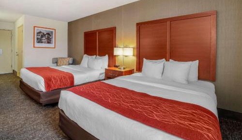 Queen Room with Two Queen Beds - Accessible/Non-Smoking 
