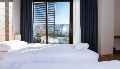Double or Twin Room with Balcony