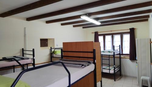 Bed in 8-Bed Dormitory Room