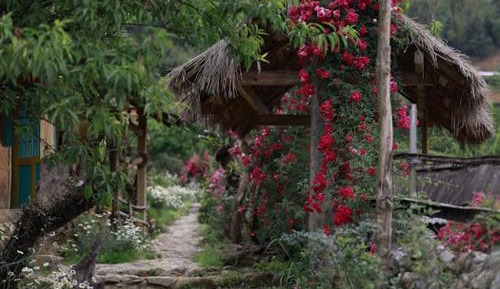 Deluxe Bungalow with Garden View