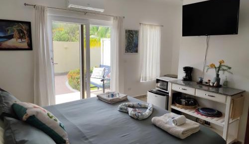 Double Room with Terrace