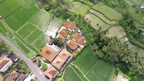 Two-Bedroom Villa with Ricefield View 