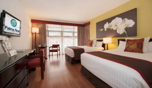 Standard Room one bed or two beds