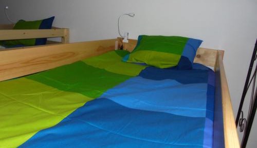 Bunk Bed in Mixed Dormitory Room