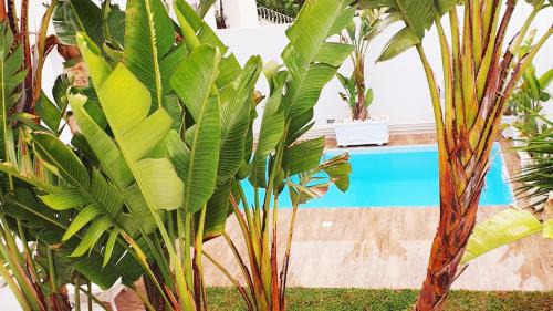 Three-Bedroom Villa