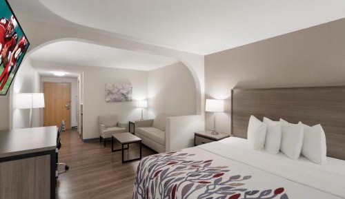 Suite King Room Non-Smoking