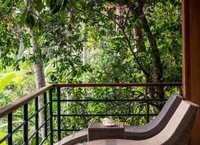 Jungle Suite King with Free Daily Scheduled Activities