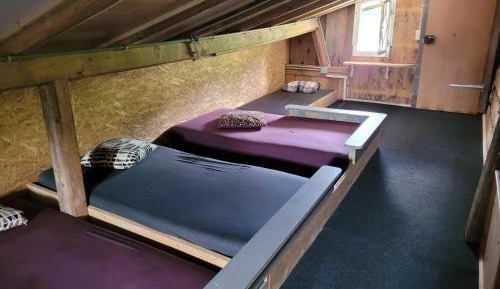 6-Bed Mixed Dormitory Room