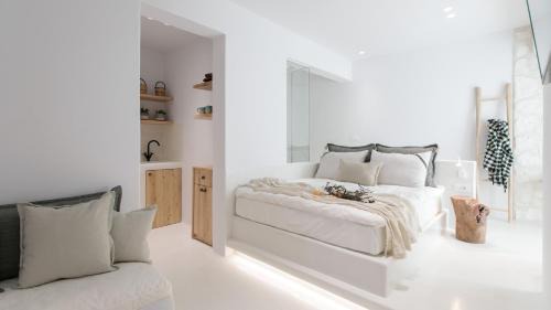 Junior Suite with Terrace