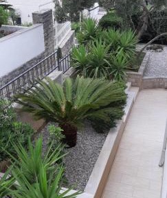 Apartment with Garden View