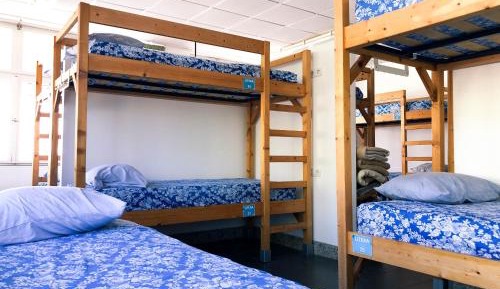 Bunk Bed in Mixed Dormitory Room
