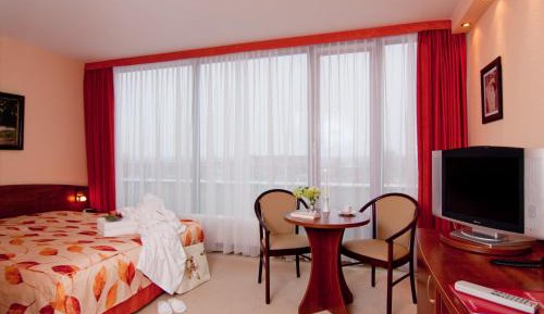 Double Room with Balcony (dogs not allowed)