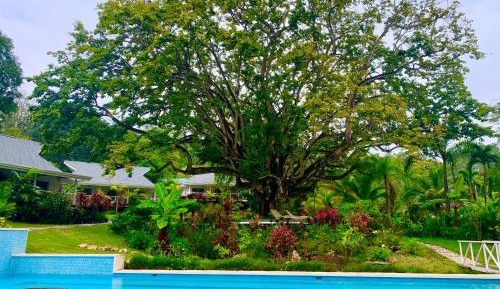 King Room with Pool View