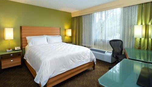 Standard King Room
