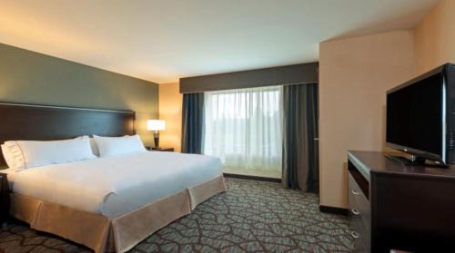 King Suite with Sofa Bed