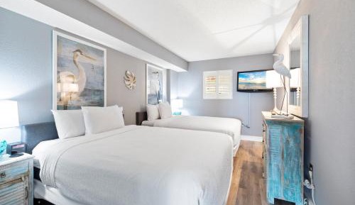 One Bedroom Apartment