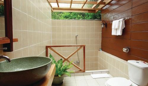 Jungle Lodge 