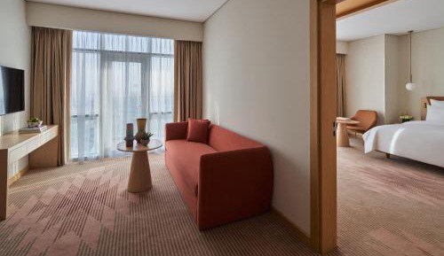 Deluxe Suite with City View