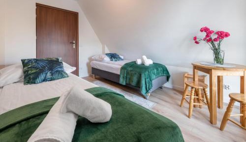 Budget Double Room