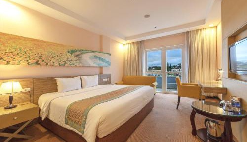Deluxe Double or Twin Room